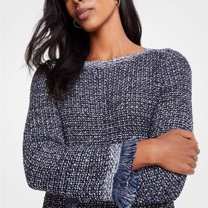 Ann Taylor Sequin Fringe Sweater